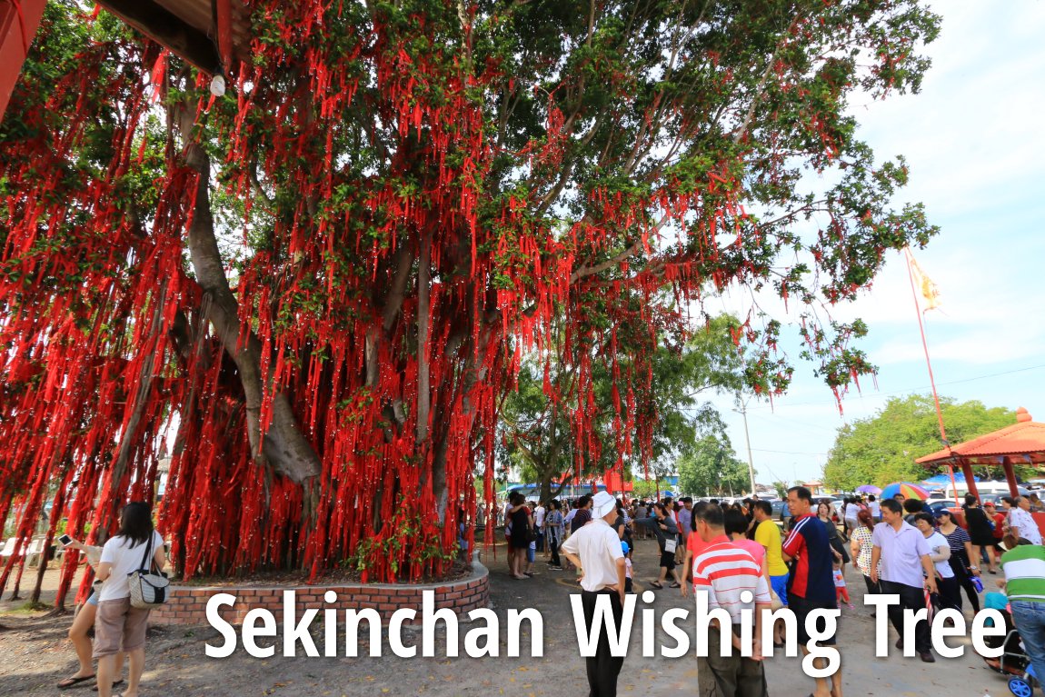 Image result for sekinchan wishing tree