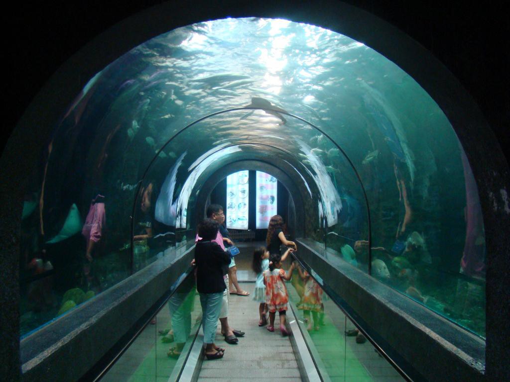 Phuket Aquarium, Phuket, Thailand