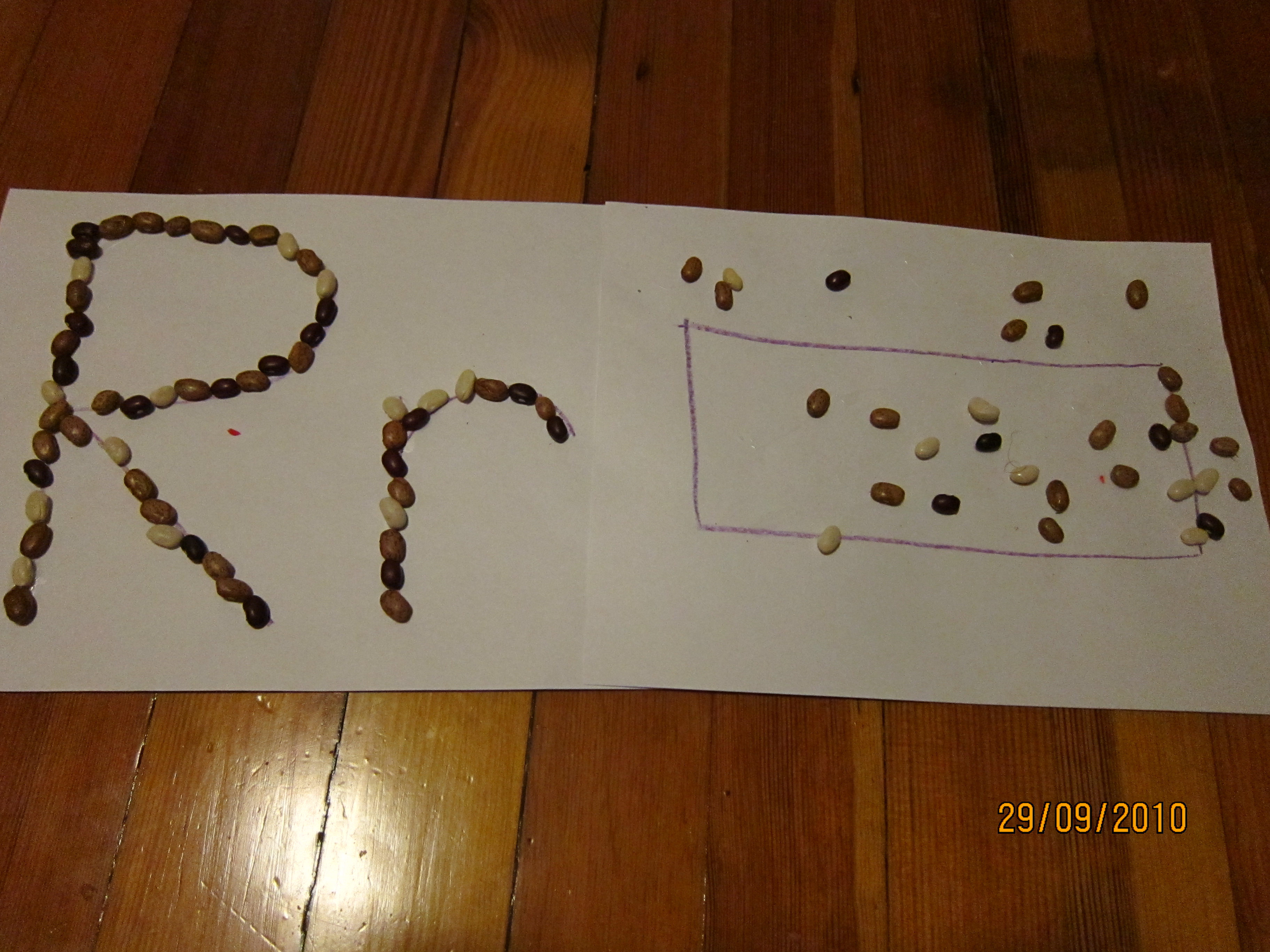 Gluing Beans on Paper