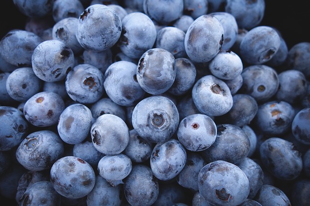 blueberries-690072_640