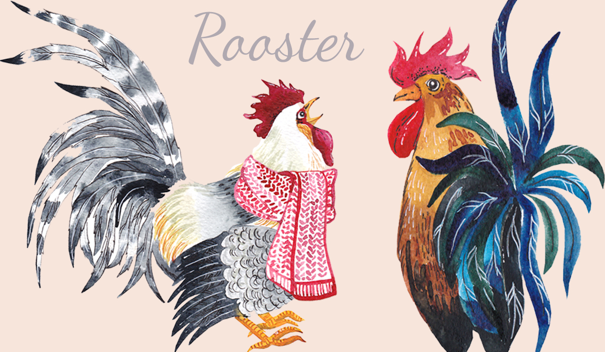 Image result for year of the rooster 2017