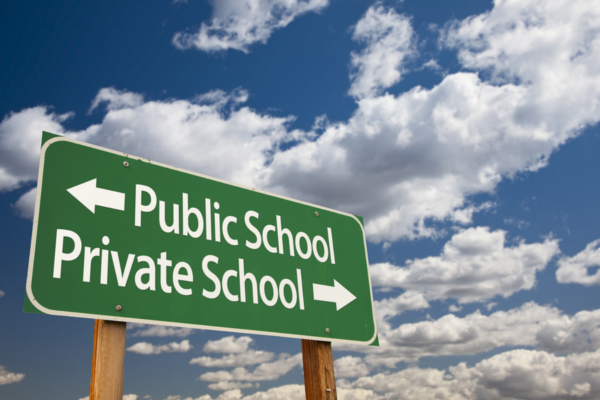 Difference Between Government Schools And Private Schools