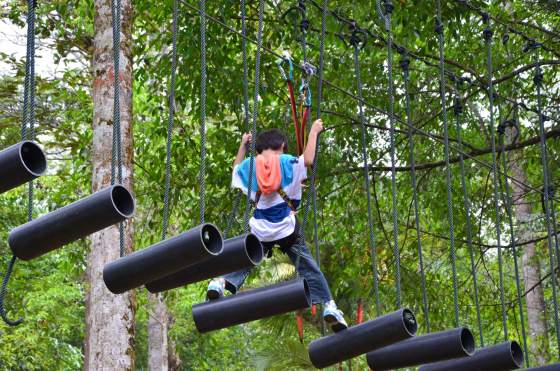 skytrex