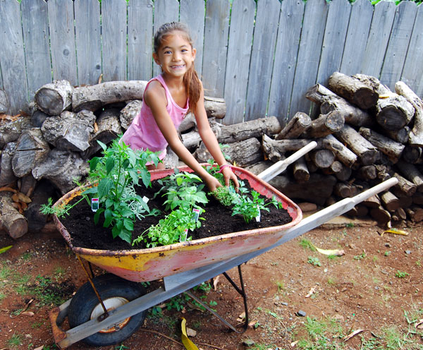 Herb Garden Herb Garden