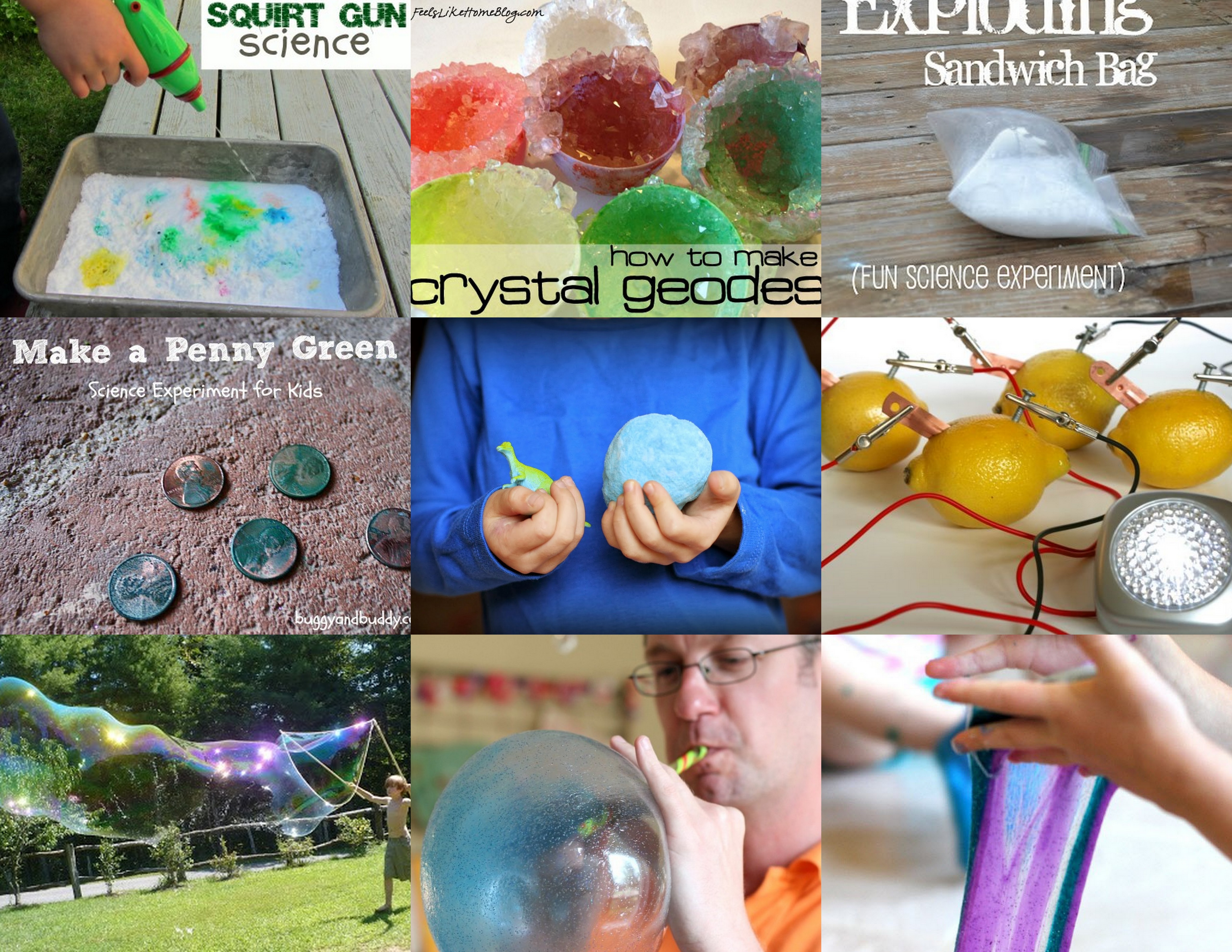 Science Project Science Project