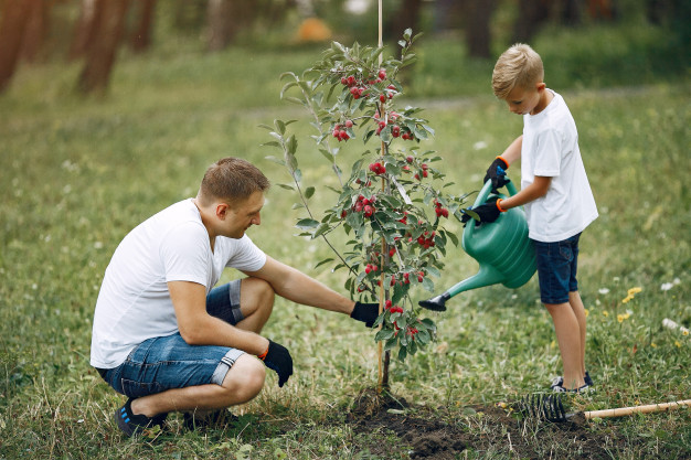 Gardening