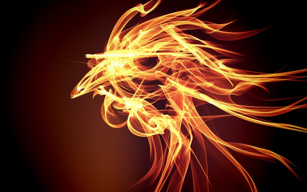 Image result for year of the fire rooster 2017